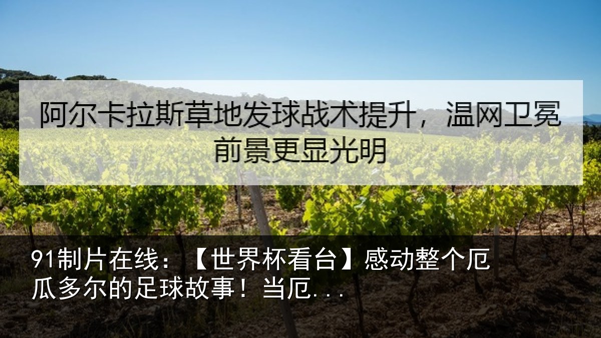 91制片在线：【世界相关情况瓜多相关情况...