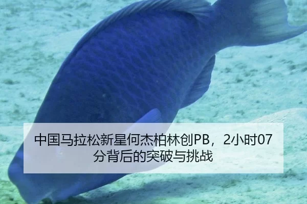 zhong-guo-ma-la-song-xin-xing-he-jie-bo-lin-chuang-xiao-shi-fen-bei-hou-de-tu-po-yu-tiao-zhan-3-622.jpg