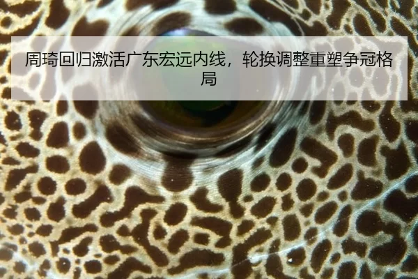 周琦回归激活广东宏远内线，轮换调整重塑争冠格局