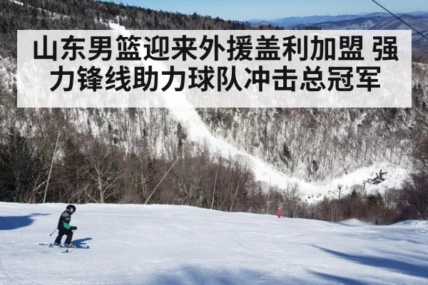 山东男篮迎来外援盖利加盟 强力锋线助力球队冲击总冠军